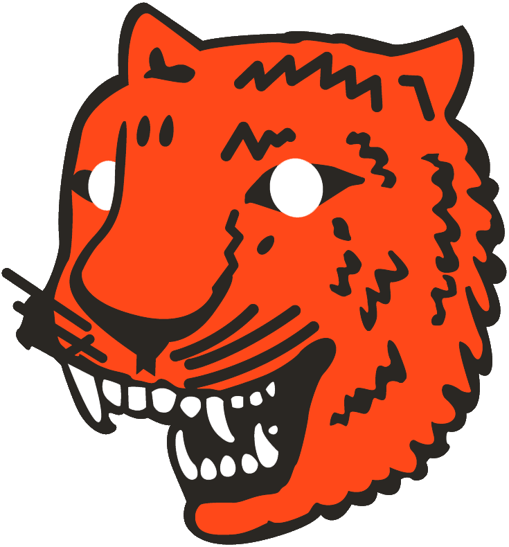 Detroit Tigers 1927-1928 Primary Logo fabric transfer